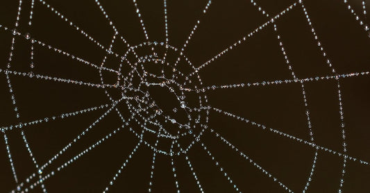 Connection